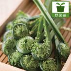  овощи. рассада ko мусор (ksa саговник )3.5 номер pot 