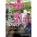 クレマチスの苗 クレマチス ワンダフル4号ロングポット