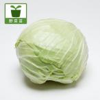  овощи. рассада / капуста :. женщина .(wakaokami). рассада 3 номер pot 12 АО комплект 