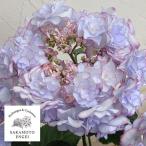 花木 庭木の苗 アジサイ KEIKO（ケイコ）（ブルー）3.5号ポット