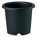 菊鉢4号（直径13.3cm）ブラック 5個セット