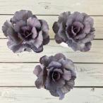 草花の苗ハボタンドルチェパープル2...