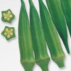 野菜の苗オクラベターファイブ3号ポ...