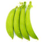 野菜の苗 26年10月中下旬予約 エンドウ（つるあり） 二刀流エンドウスナップW（ダブル）ピース苗3号ポット