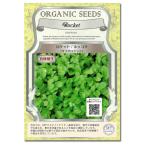 野菜の種 有機種子 ロケットサラダ（ルッコラ） 2袋セ