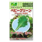  месклун. вид baby зеленый зеленый leaf lettuce ( зеленый Span )tane