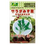 ベビーリーフの種 サラダみず菜 早生千筋京水菜 タネ