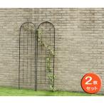 アイアンフェンス幅50×高さ221cm 2枚セット(YBIF-220-2P)* 送料無料