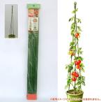 ニチカン トマト支柱セット 4個セット