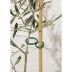 プランツクリップ10個入り