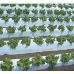 �����ѥޥ�������ȡ����ꥸ�ʥ�����ꤢ���ޥ��������0.021mm����95cm  Ĺ��200m  60mm�ꡡ���ɥꡡ����9230