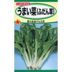 フダンソウの種　うまい菜　（ふだん草）　15ml　品番