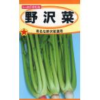 ノザワナの種　野沢菜　10ml　品番1026　種子　たね