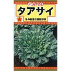 タアサイの種　タアサイ　8ml　品番1886　種子　たね
