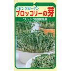 スプラウトの種　ブロッコリーの芽　20ml　品番3558　種子　たね
