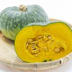 野菜の苗26年4月下旬予約カボチャ...