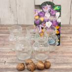 球根/25年9月中下旬予約クロッカ...