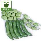  овощи. рассада 26 год 2 месяц средний последняя декада предварительный заказ ....* один размер боб. рассада 10 полосный cut упаковка рассада ввод (10 АО минут )