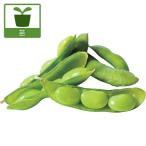  овощи. рассада 26 год 5 месяц средний последняя декада предварительный заказ ветка бобы ..(...)3 номер pot рассада 