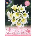 球根26年3月中下旬予約ヒメノカリ...