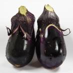  овощи. рассада 26 год 4 месяц последняя декада предварительный заказ земля . maru shenas земля . маленький баклажан 3 номер pot 