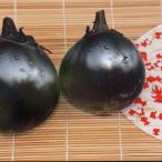 野菜の苗26年4月下旬予約京野菜ナ...