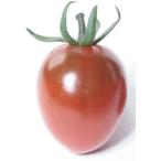 野菜の苗26年4月下旬予約ミニトマ...