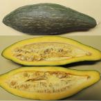 野菜の苗26年4月下旬予約カボチャ...