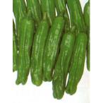  овощи. рассада 26 год 4 месяц сверху . предварительный заказ красный острый перец зеленый перец шишито собственный корень рассада 2.5-3 номер pot 