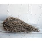  овощи. рассада /25 год 12 месяц сверху средний . предварительный заказ спаржа : зеленый стебель вид (. сырой серия ) элемент .. АО L размер АО ( очень большой )