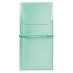 lihi тигр b антибактериальный PVC Flat пенал прозрачный тонкий ALCLEA светло-зеленый A7941-19