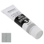  turner цвет (Turner Color) акрил гуашь серебряный AG040072 40ml(9 номер )