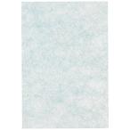  оригинальный товар Dainichi (Dainichi) увлажнитель фильтр для замены areru шероховатость a фильтр H060309