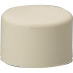 TRUSCO( Trusco ) уретан soft Hammer изменение head #1 (2 штук ) TUS-10H