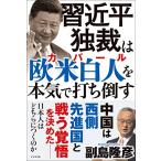 . близко flat ... Европа и Америка белый человек ( покрытие ru). серьезность . удар . сбить 