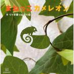 ma... хамелеон 