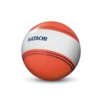 hatachi( - tachi) навигация мяч G Golf состязание мяч (bh3851-54) orange наличие 