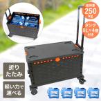  Fuji quotient Cart ёмкость для воды F21646 felio | контейнер контейнер есть 8l бак 4 шт имеется простой ... перевозка вода . резервуар складной напиток для 