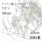 &lt; бесплатная доставка &gt;[300шт.@][30mm×0.7mm] железный производства никель свободный T булавка серебряный 