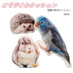 敬老の日 写真入れ オーダーメイドペット写真クッション 写真で作る思い出クッション メモリアルグッズ 記念日ギフト 片面プリント 最長辺50CM