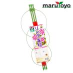  кольцо фигурная скобка 