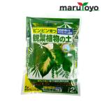 花ごころ観葉植物の土2L