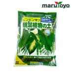 花ごころ観葉植物の土5L