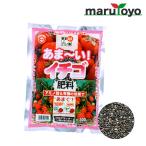 東商 あま〜いイチゴ肥料 500g【土】【肥料】【培養土】【野菜】【花】