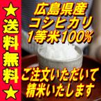 Á÷ÎÁ̵ÎÁ26ǯÅÙ¿·ÊÆ¡¡¹Å縩»º¡¡¥³¥·¥Ò¥«¥ê1ÅùÊÆ10kg¡Ê¸¼ÊƲÁ³Ê¡ËÀºÊƤ·¤¿¤Æ