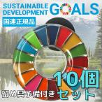 SDGs バッジ 本物 ピンバッジ 正規品 国連本部限定 丸みのあるタイプ 10個 予備の留め具付き 17の目標 バッチ バッヂ