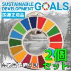 SDGs バッジ 本物 ピンバッジ 正規品 国連開発計画ショップ限定 平型タイプ 予備の留め具付き 2個 17の目標 バッチ バッヂ