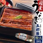 ショッピングうなぎ 蒲焼き 国内産 送料無料 領収書発行可能 国産 鰻 180g 1尾 五郎藤  通販 国産 ウナギ 通販 国産 うなぎ 通販 鰻 おすすめ うな重 おすすめ 鰻 蒲焼 おすすめ ひつまぶし 鰻 お取り寄せ