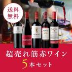 【送料無料】ワイン ワインセット 超売れ筋赤ワイン5本セット RC1-1 [750ml x 5]
