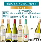 ワイン ワインセット バイヤー厳選白ワイン好きのための辛口白ワイン5本+1本セット EQ11-1 [750ml x 6] 送料無料［1/18〜キャンペーン開始！］(890920PW00C5)